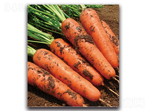 ��t��̖-�}���N��-�����r(n��ng)