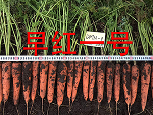 ��tһ̖-�}���N��-�����r