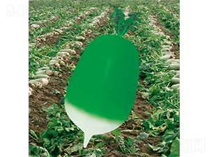 �����G����-�}���N��-�W�m��