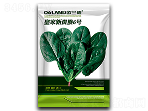 �ʼ����F��6̖(h��o)-���˷N��-�W�m��