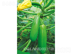 �W��������-�����J�N��-�W�m��