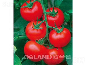 �W����t-���ѷN��-�W�m��