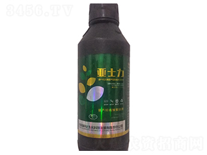 ��ʿ��-����