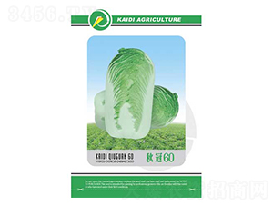 ���60-�ײ˷N��-�P���r(n��ng)�I(y��)