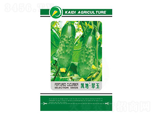 �P�ش���-�S�ϷN��-�P���r�I(y��)