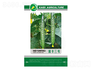 �@�S��̖-�S�ϷN��-�P���r�I(y��)