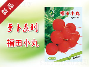 ����С��-�}���N��-�P���r(n��ng)�I(y��)