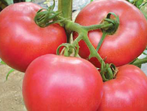 �W����-���ѷN��-�P���r(n��ng)�I(y��)