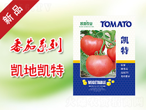 �P��-���ѷN��-�P���r�I(y��)