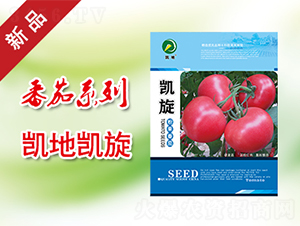 �P��-���ѷN��-�P���r�I(y��)