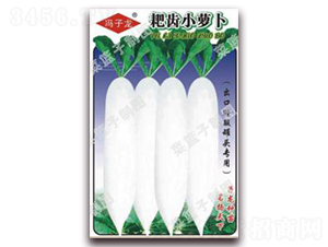 靶齒小蘿卜-蘿卜種子-子龍種業(yè)