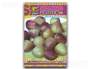 深研555彩椒F1-辣椒種子-子龍種業(yè)