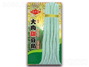 大肉甜豆角-豆角種子-子龍種業(yè)