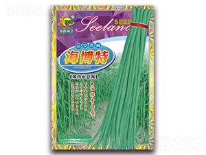 海博特厚肉長豆角-豆角種子-子龍種業(yè)