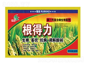 ��(f��)��΢�������-������-����