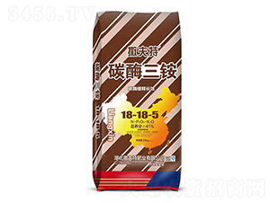 ̼ø���@18-18-5-������