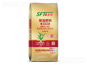 ����ጓ������30-0-5-������