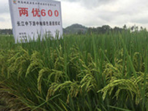 �Ƀ�(y��u)600-ˮ���N��-�һ�Դ