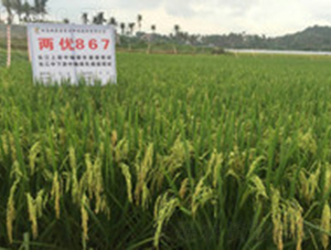 �Ƀ�(y��u)867-ˮ���N��-�һ�Դ