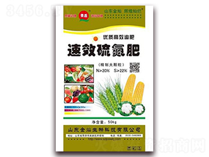 ��Ч�򵪷�-��N����