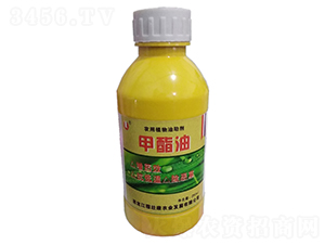 ������-�ډѿ�