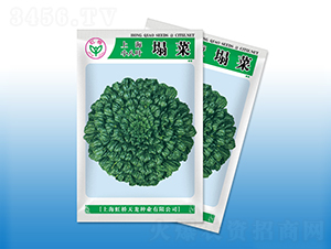 �Ϻ�С���~����-���˷N��-�����N�I(y��)