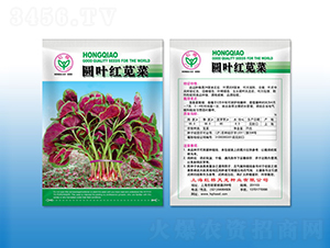 �A�~�t�{��-�{�˷N��-�����N�I(y��)