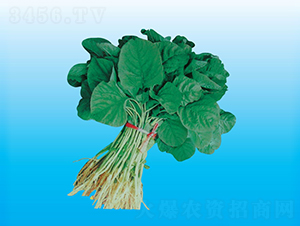 �_(t��i)�����{��-�{�˷N��-�����N�I(y��)