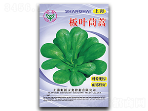 �Ϻ����~����-����N��-�����N�I(y��)