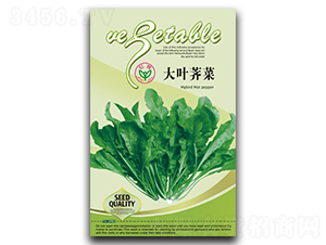 ���~�j��-�j�˷N��-�����N�I(y��)