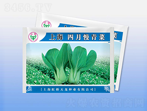 �Ϻ����������-�๣�˷N��-�����N�I(y��)