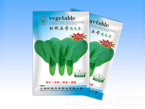 ���5̖-�๣�˷N��-�����N�I(y��)