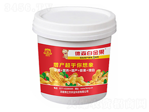 ��������ˎ-��ɭ�׽��-�S�՘� 