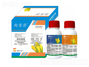 ��������݄�-��ɯɯ-�S�՘�(l��)