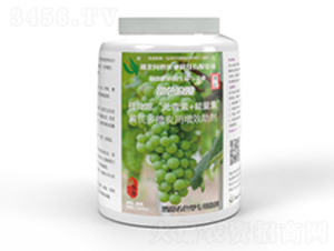 甜色浪漫-問心農(nóng)業(yè)