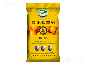 ̼ø΢�������-������