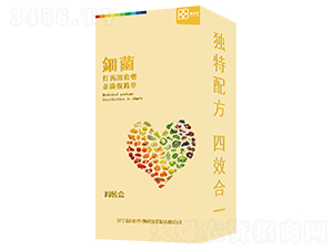 ⚾������b��-������