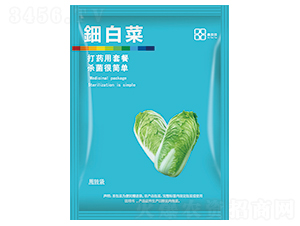 ⚰ײ�-������