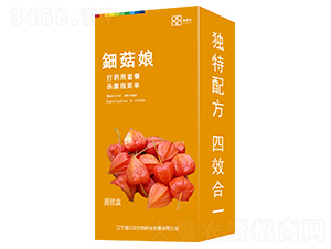 ⚹�����b��-������