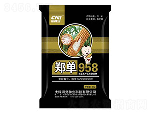 ����958-���׷N��-�δ�G