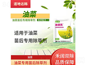 �Ͳˌ��������݄�-������-�����_(d��)�n