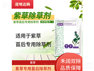 �ϲ݌��������݄�-�����_�n