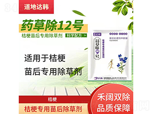 �۹�������ó��݄�-ˎ�ݳ�12̖(h��o)-�����_(d��)�n