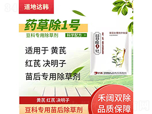 ���ƌ��������݄�-ˎ�ݳ�1̖(h��o)-�����_(d��)�n