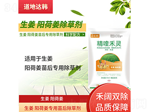 �����(y��ng)�ɽ����������݄�-�����_(d��)�n