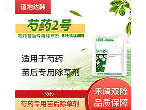 ��ˎ���������݄�-��ˎ2̖(h��o)-�����_(d��)�n