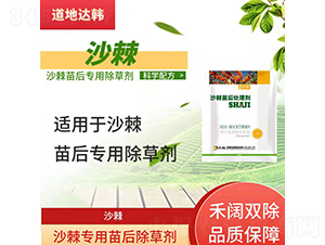 ɳ�����������݄�-�����_(d��)�n