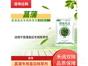 ���ь��������݄�-�����_(d��)�n