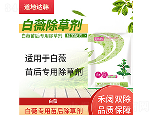 ��ޱ���������݄�-�����_(d��)�n