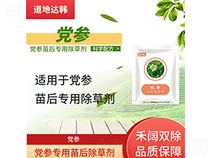 �h�����������݄�-�����_(d��)�n